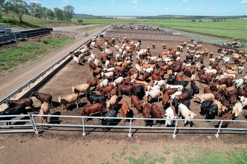 1000 SCU FEEDLOT - 986 ACRES, Kaimkillenbun QLD 4406, Image 1