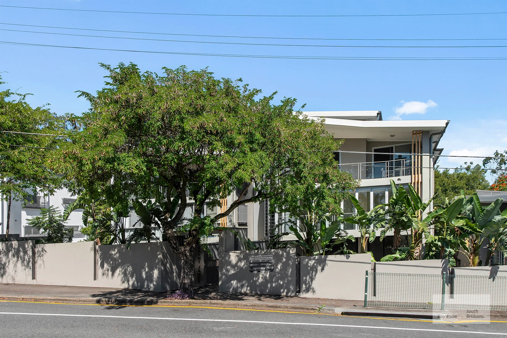 Image 19