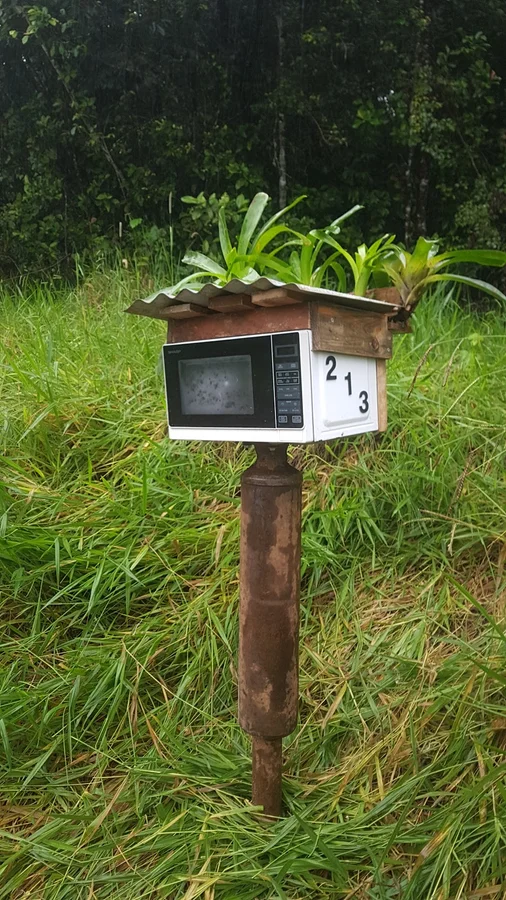Image 6