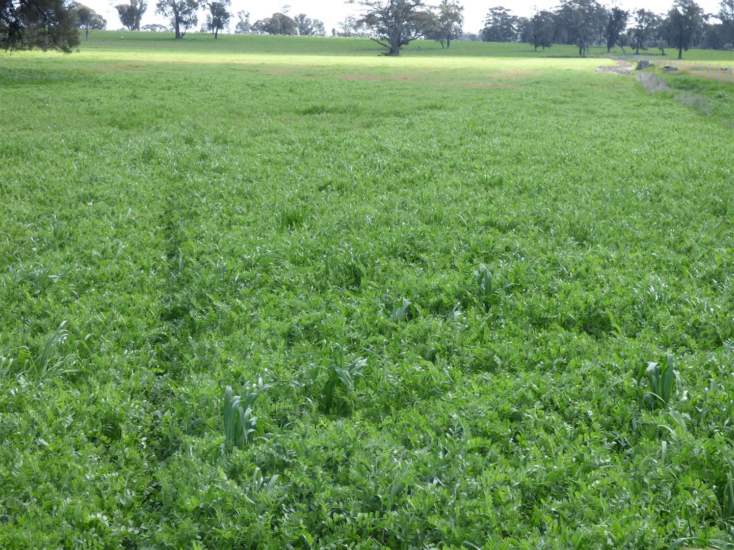 Lot 1 Nobbys Lane, Navarre Via, Stawell VIC 3380 Farm for Sale