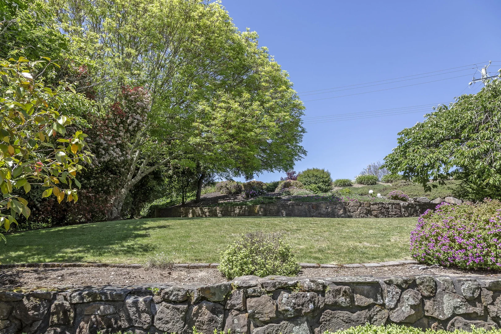 Image 28