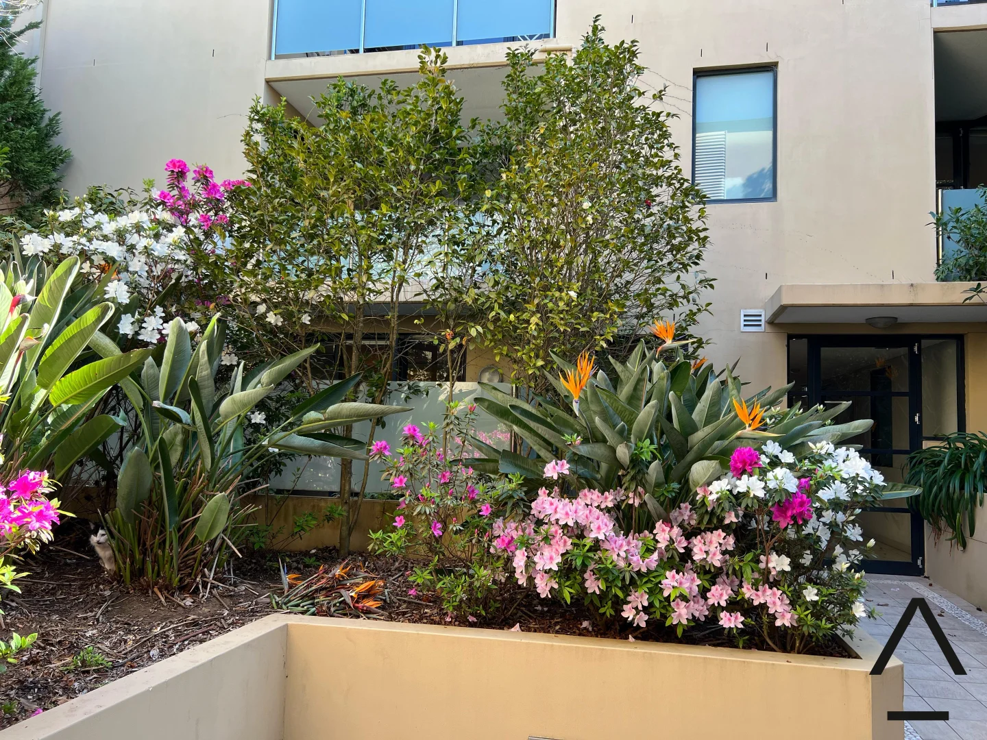 Additional image 10 of 9/314-316 Bronte Road, Waverley NSW 2024