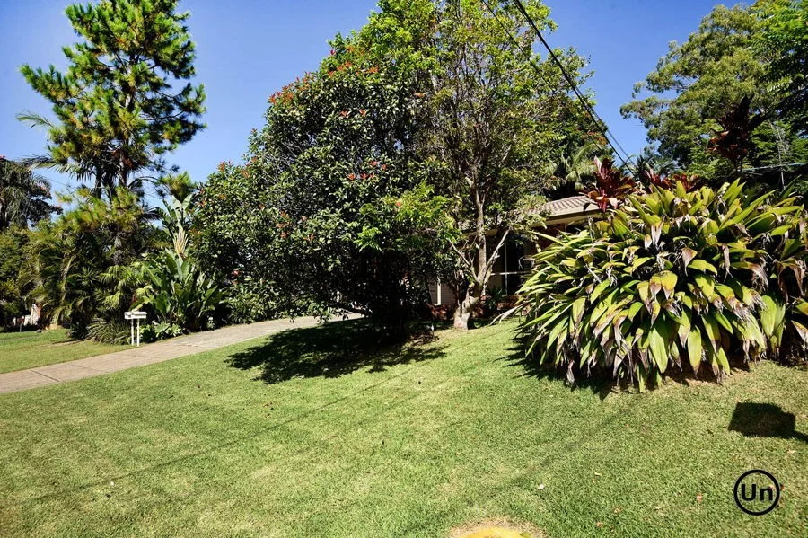 Image 25