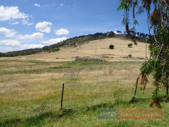 97 Camp Street, ADELONG NSW 2729, Image 1