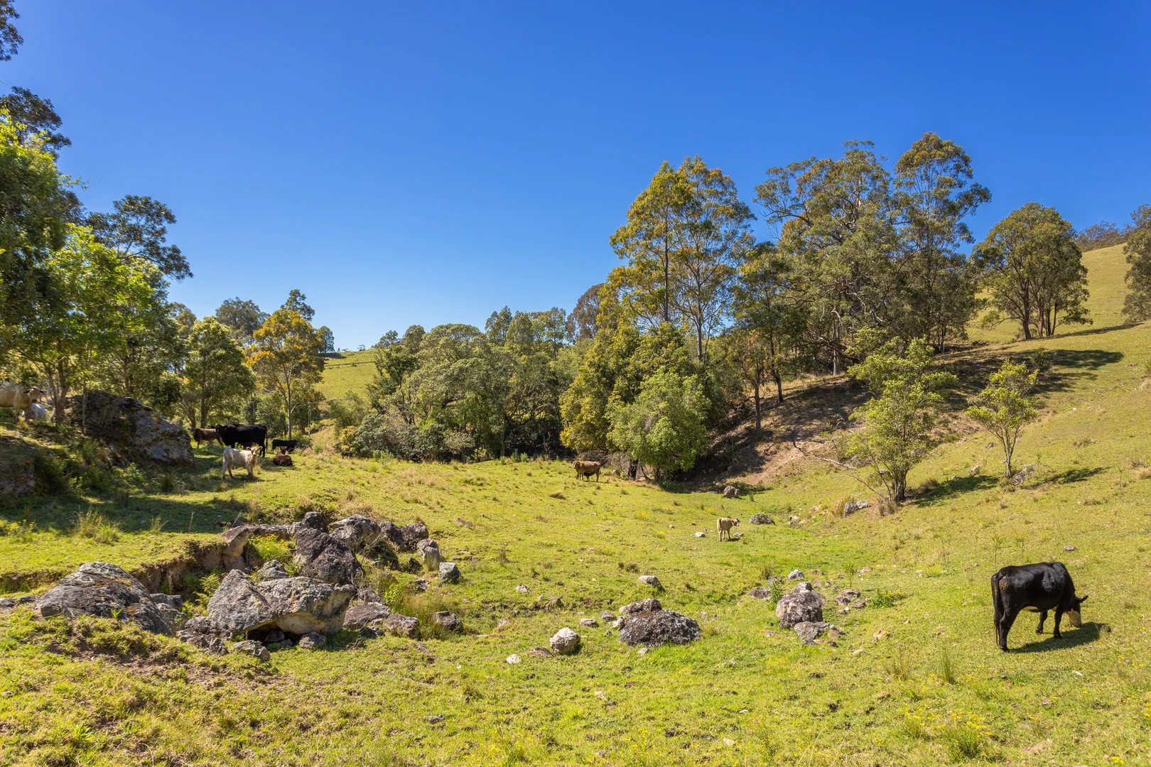 Image 12