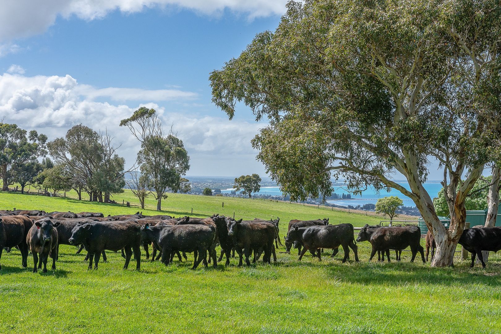 44 Old Road, Waitpinga SA 5211, Image 1