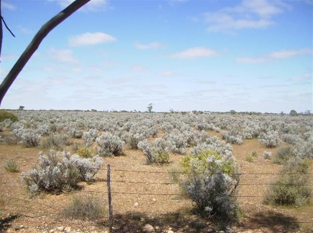 Lot 13 Cemetery Road, Morgan SA 5320, Image 0