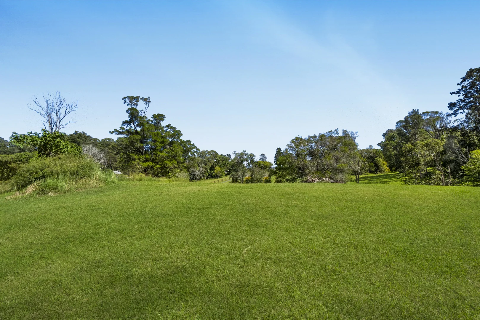 Image 38