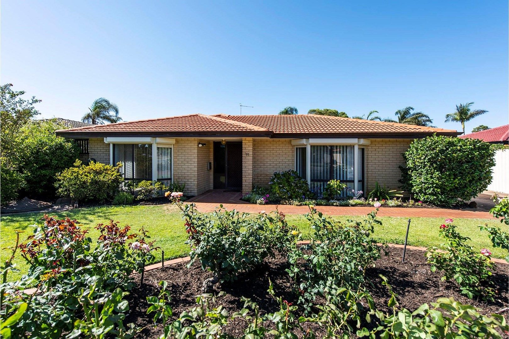 37 Parkway Road, Bibra Lake WA 6163, Image 0