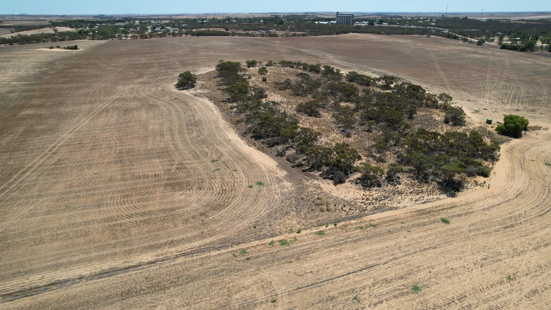 Image 11