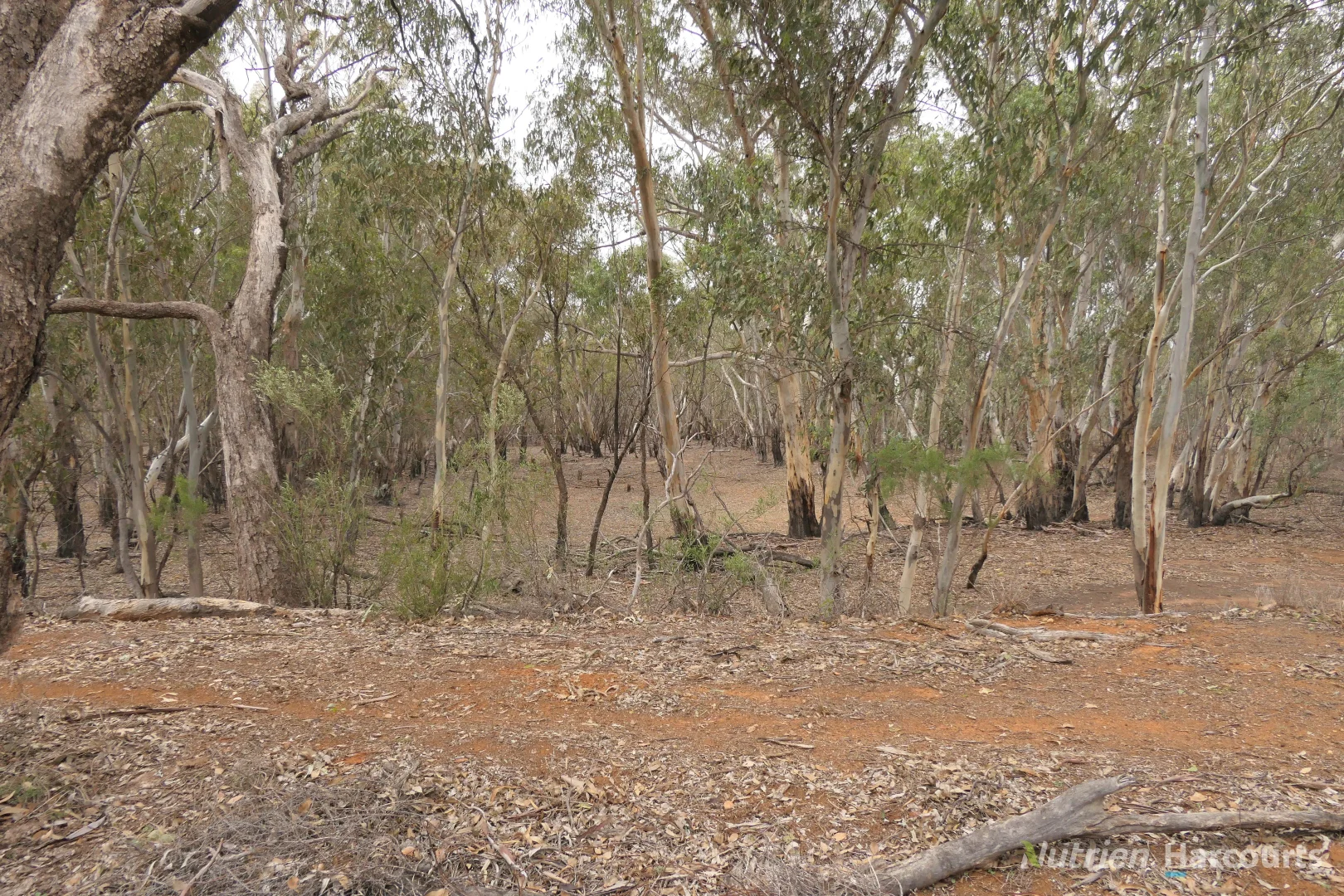 Additional image 3 of 27 Singleton Drive, Cobar NSW 2835