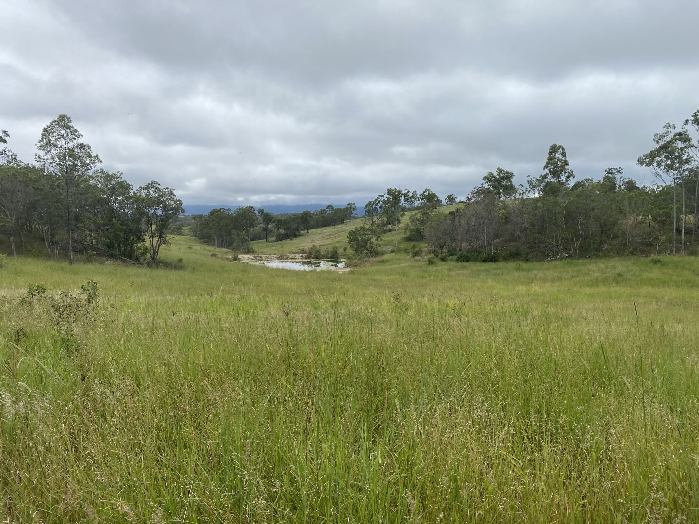 Mount Perry QLD 4671, Image 1