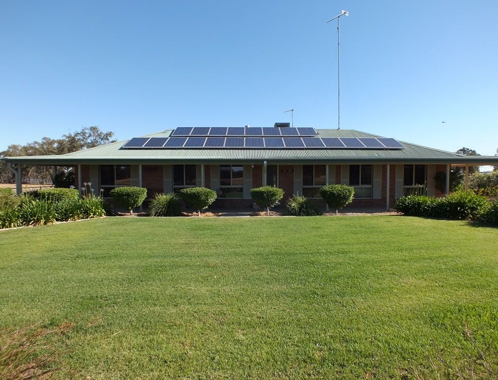 3147 Merrengreen Road, West Wyalong NSW 2671, Image 0