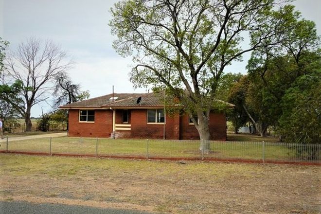 Picture of 178 Blighty School Road, BLIGHTY NSW 2713