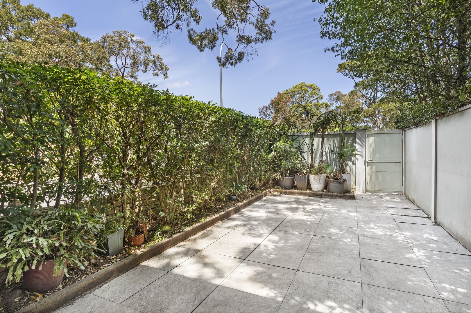 3/115-119 Burns Bay Road, Lane Cove NSW 2066, Image 1