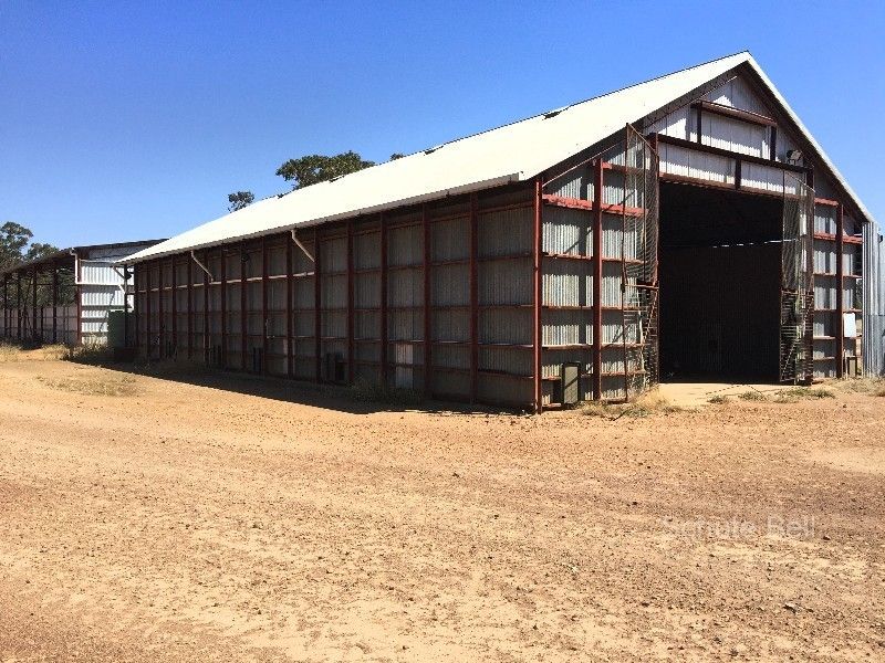 . Road View, Narromine NSW 2821, Image 2