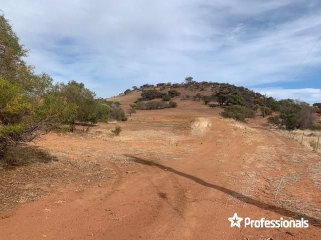 66 Chintapee Road, Bringo WA 6532, Image 0