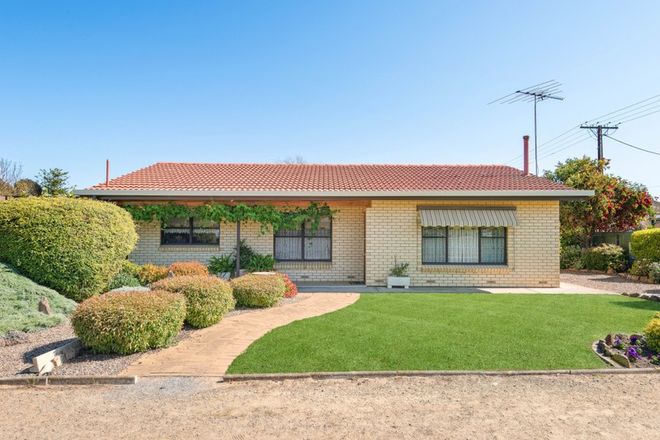 Picture of 20 Florence Street, MURRAY BRIDGE SA 5253