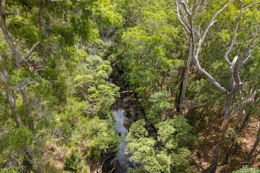 Image 8