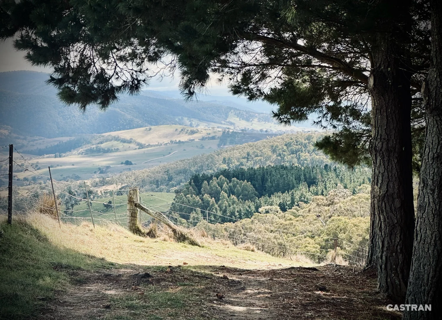 Image 10