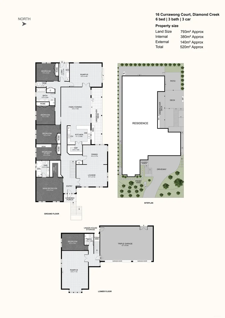 Image 21