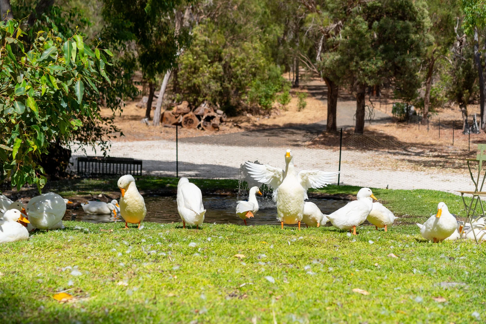 Additional image 19 of 758B Southern Estuary Road, Lake Clifton WA 6215