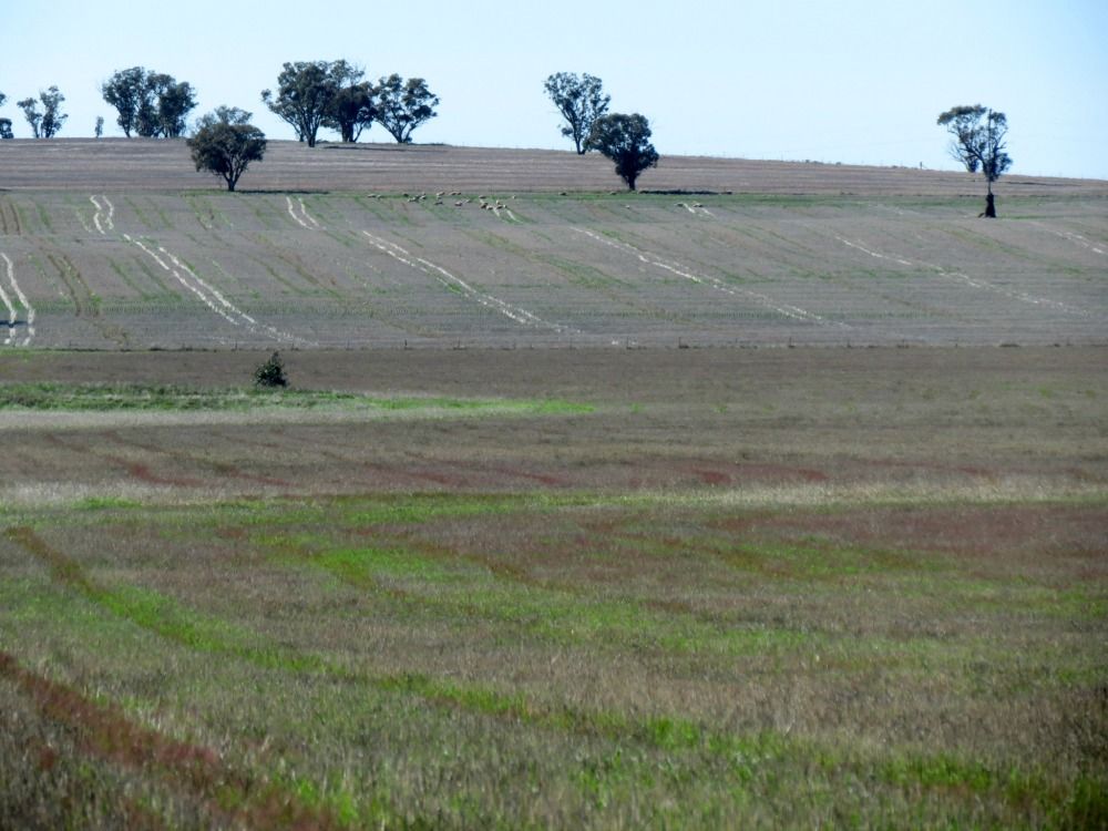 TEMORA NSW 2666, Image 1