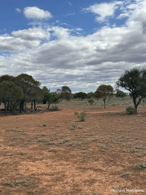 27 Singleton Drive, Cobar NSW 2835