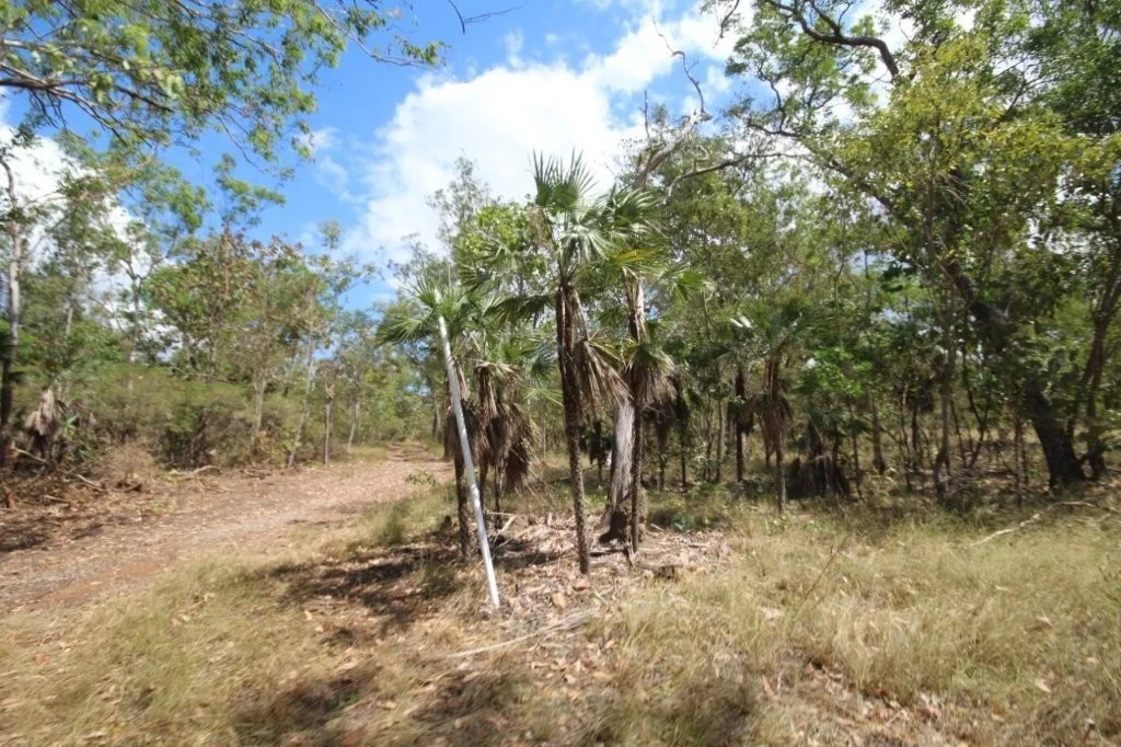 Image 31