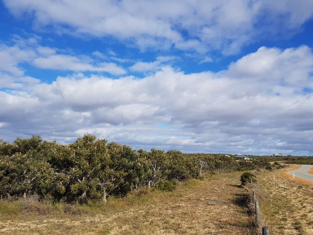 221 Premier Drive, Jurien Bay WA 6516 Vacant Land for Sale 175,000