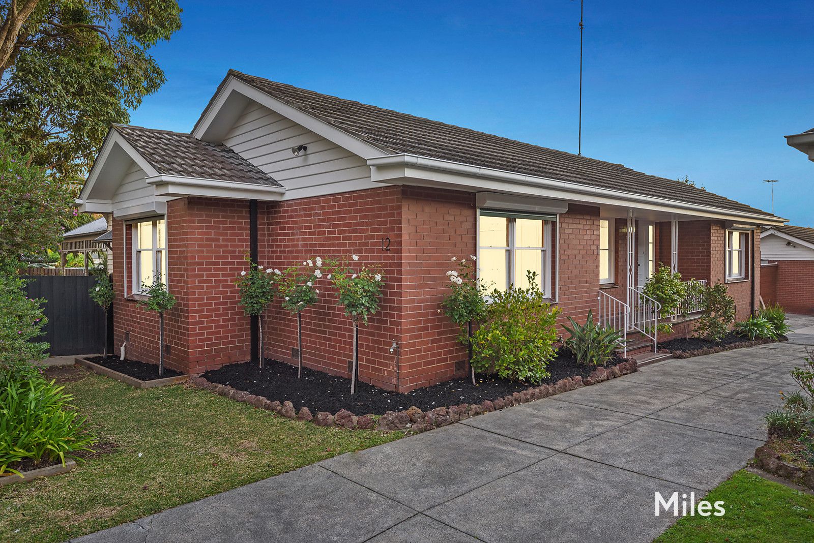 1/12 Athelstane Grove, Ivanhoe VIC 3079, Image 0