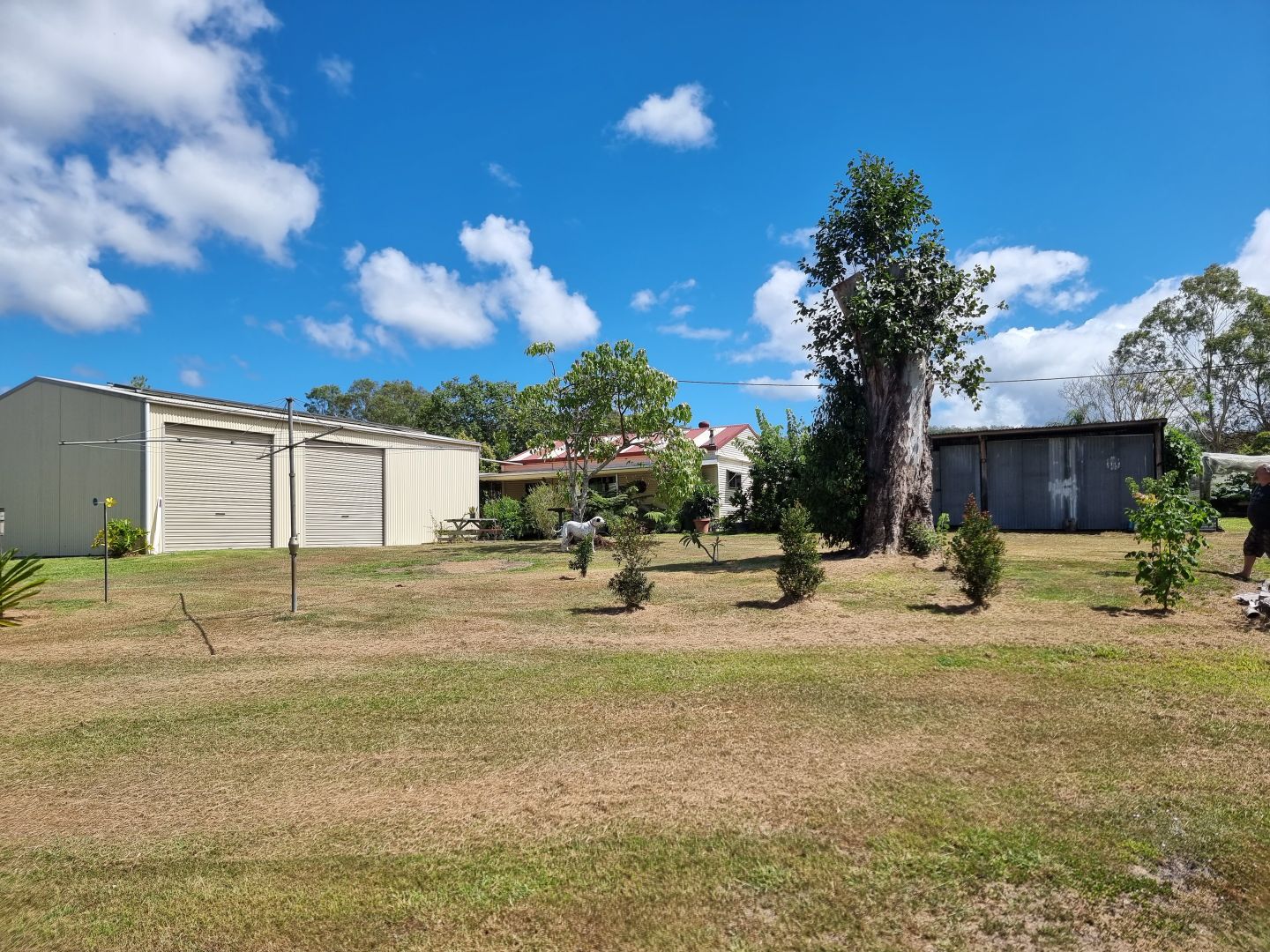 1315 Oreen Street, Bellbrook NSW 2440 Domain