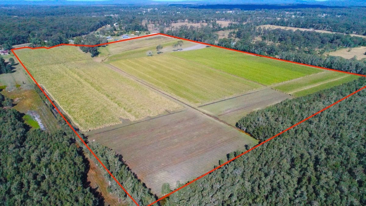 308 Brooms Head Road, Gulmarrad Property History & Address Research Domain