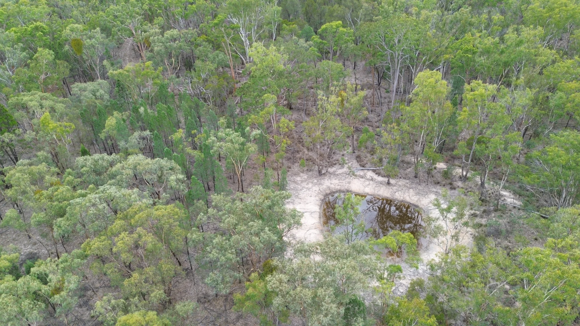 Additional image 8 of 106 Biggs Road, Oman Ama QLD 4352