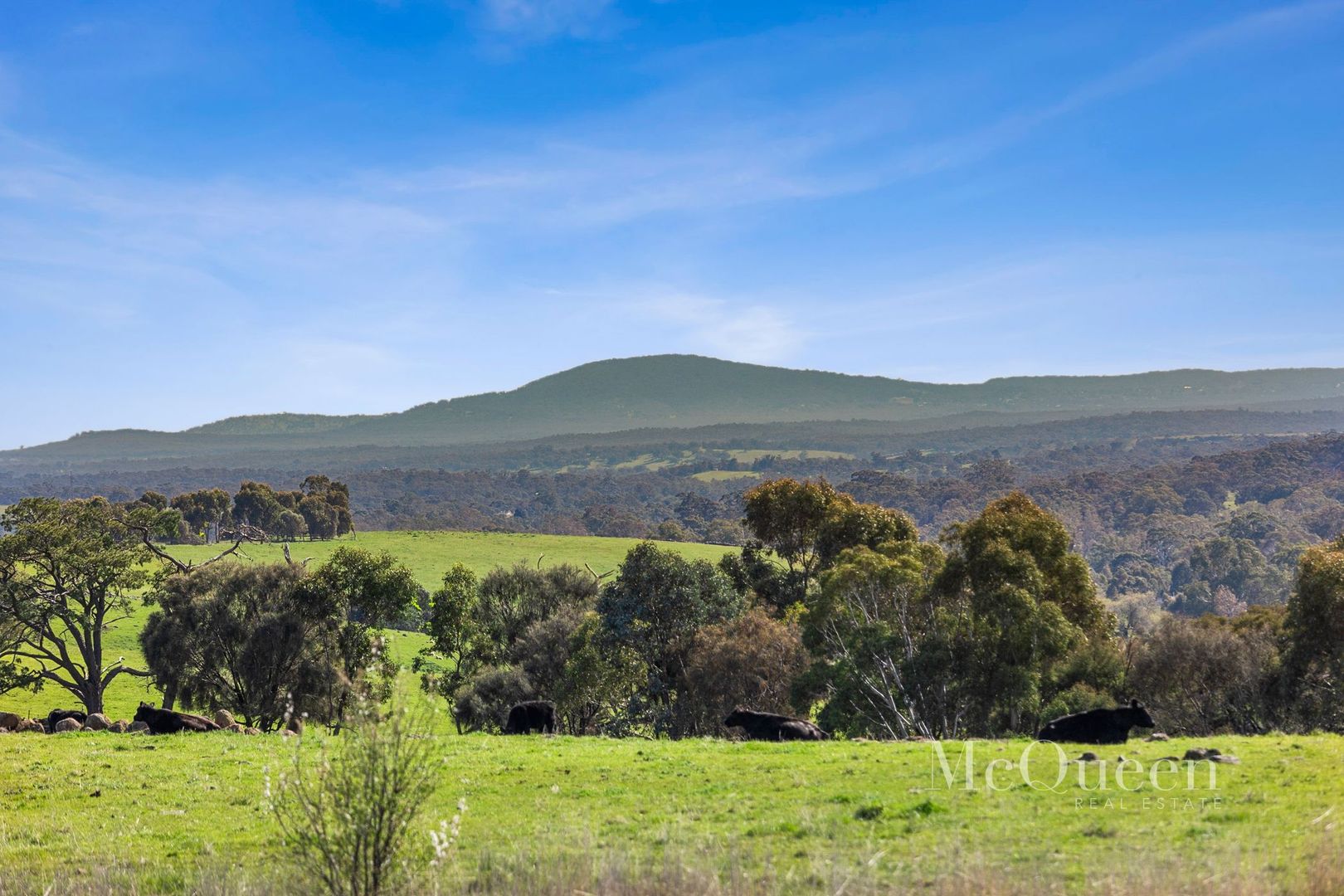 1 Sartori Road, Franklinford VIC 3461, Image 1