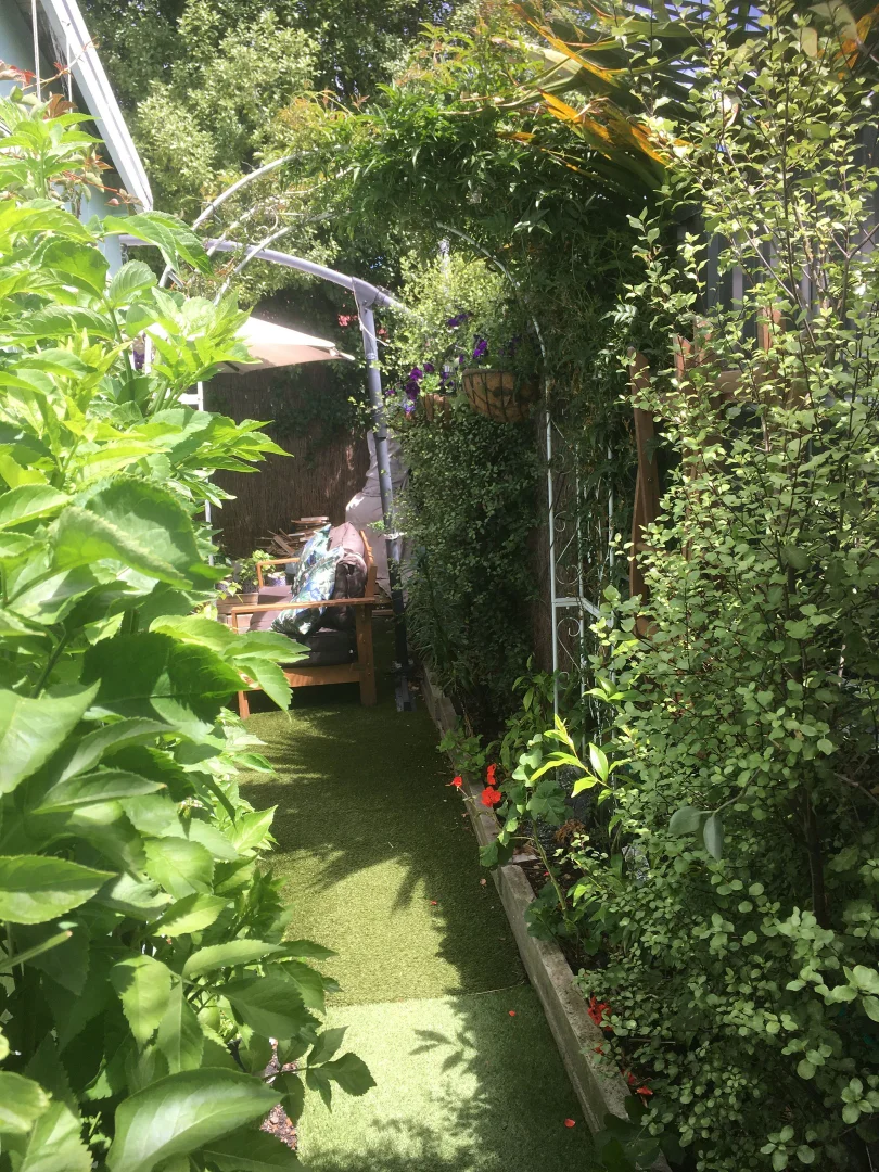Image 25