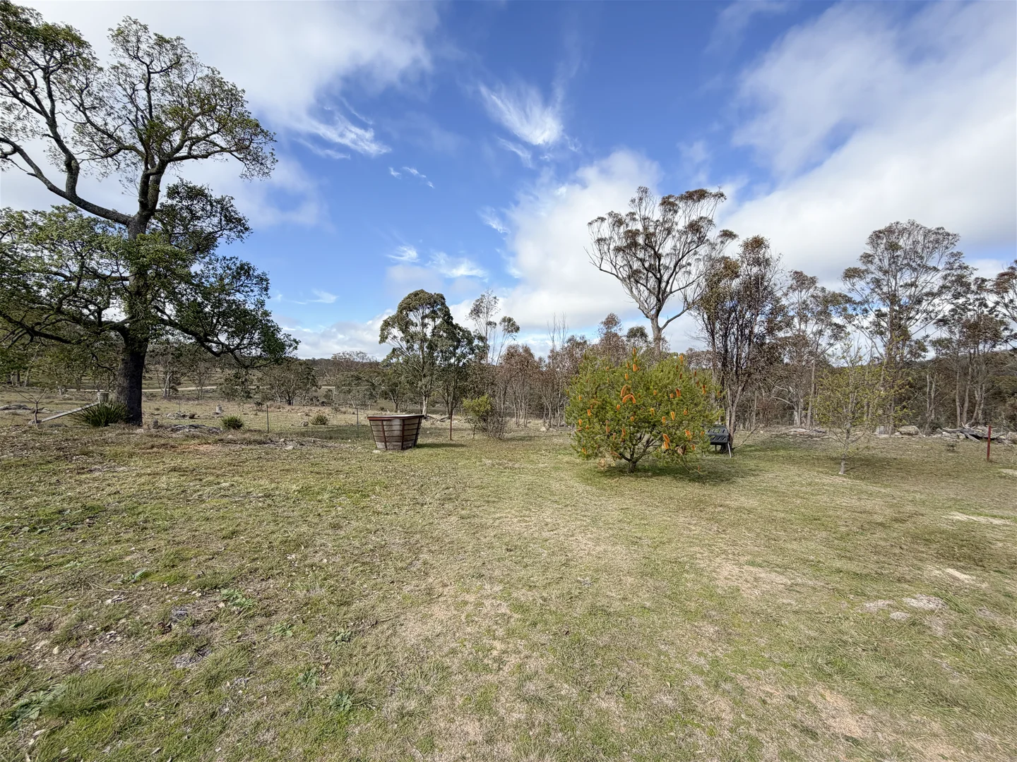 Image 29