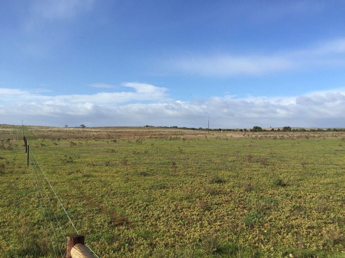 Lot 57 Caloote Road, Caloote SA 5254, Image 2