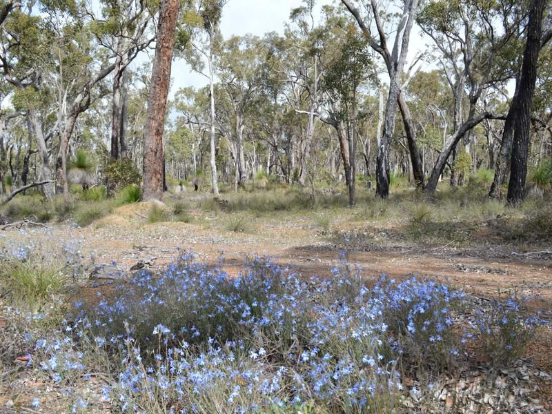 L1859 Parsons Swamp Road, Boyup Brook WA 6244, Image 0