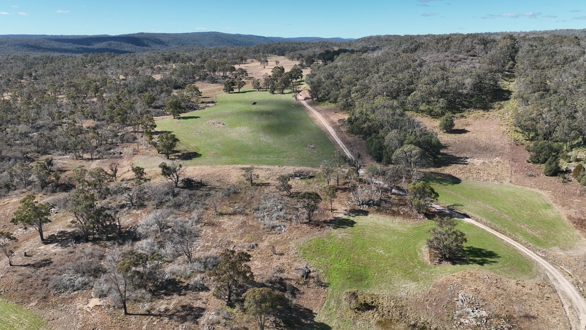 530 Donnelly Road, Shannon Vale NSW 2370 Farm for Sale Domain