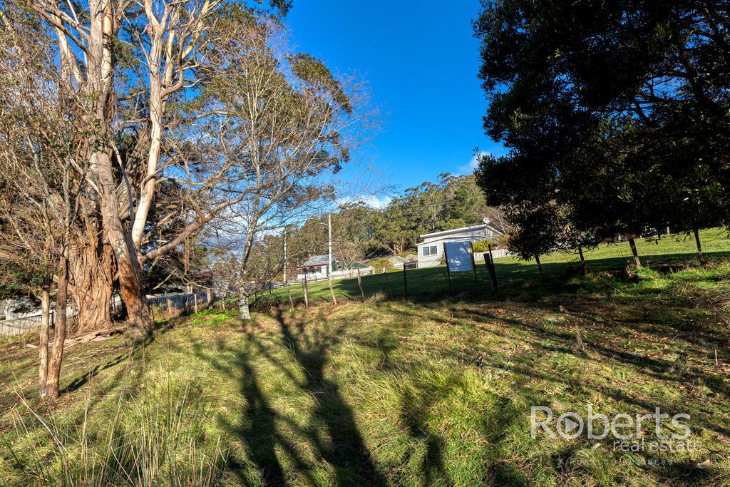 3 Hill Street, Derby TAS 7264, Image 2