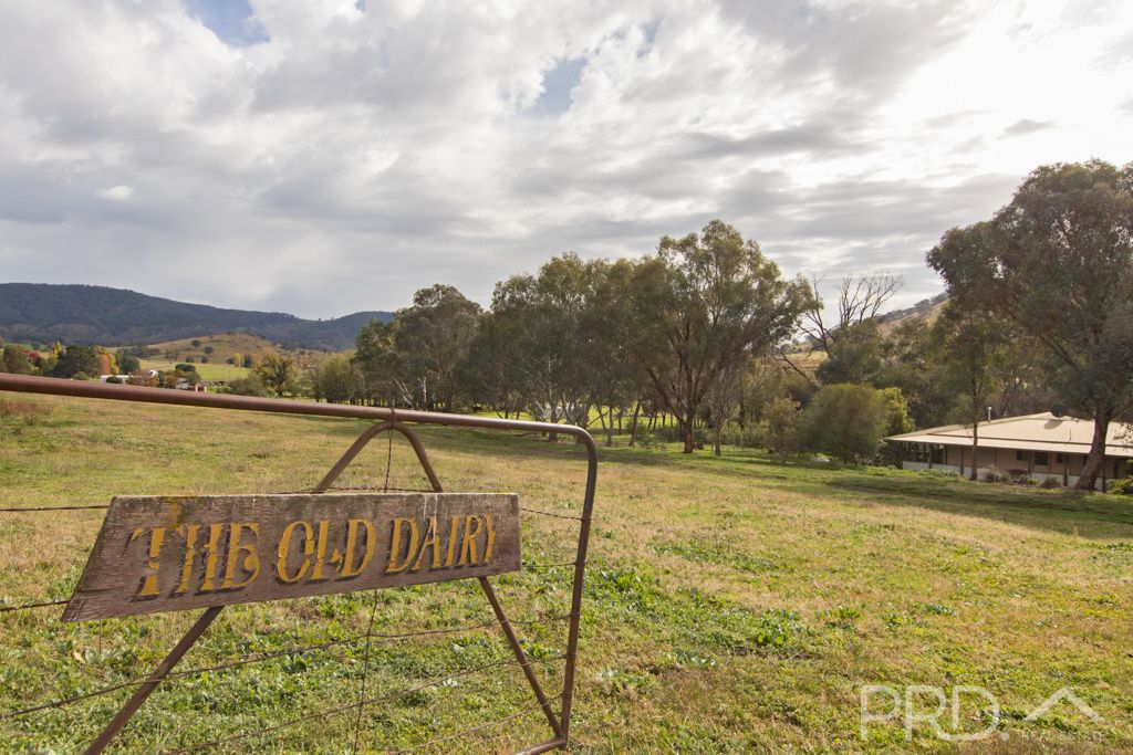 532 Grahamstown Road, Adelong NSW 2729, Image 2