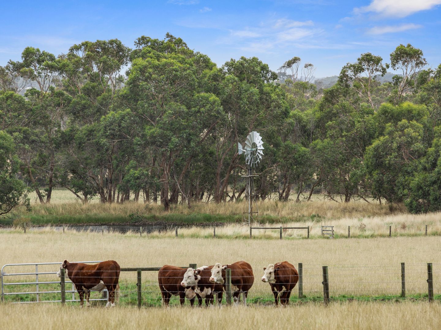 40 Axfords Road, Outtrim VIC 3951, Image 1