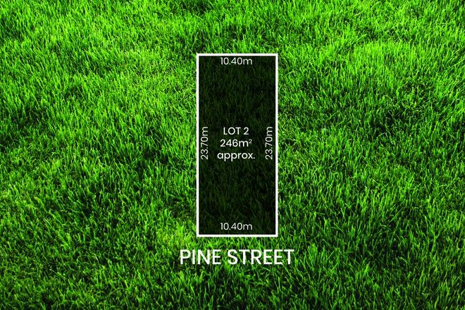 Picture of 2 Pine Street, ROYAL PARK SA 5014