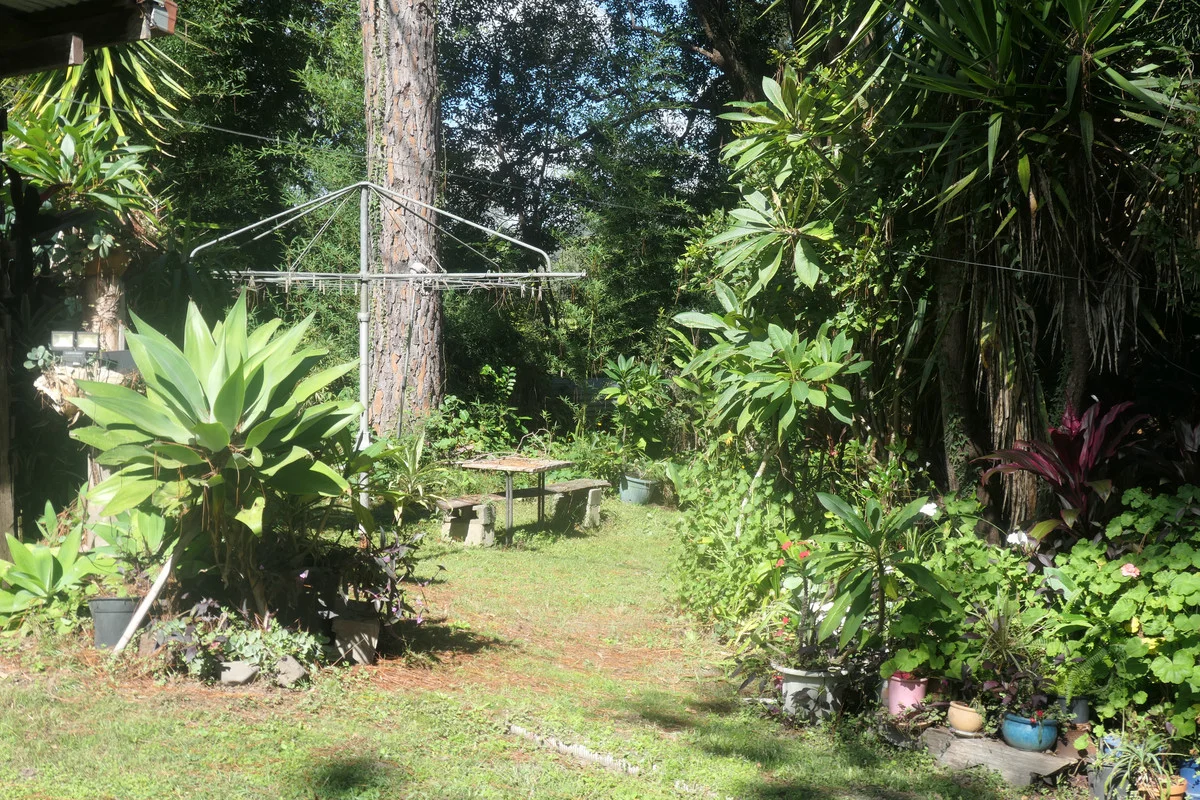 Image 17