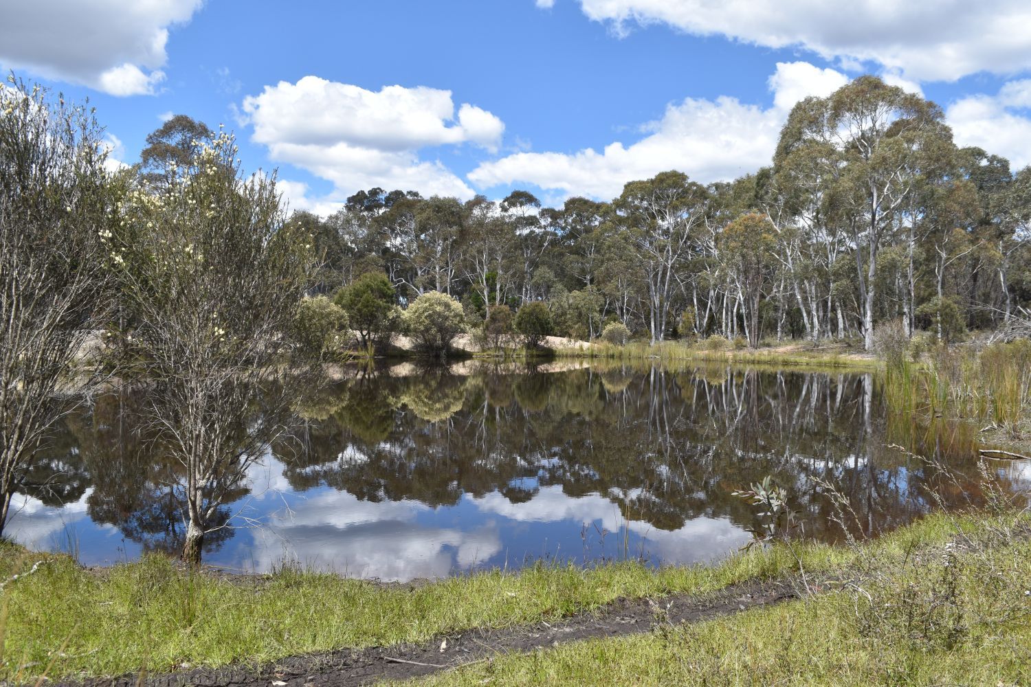 69 Paddys Close, Lower Boro NSW 2580, Image 0