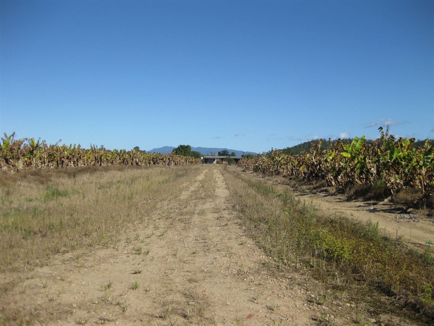 Munro Plains QLD 4854, Image 1