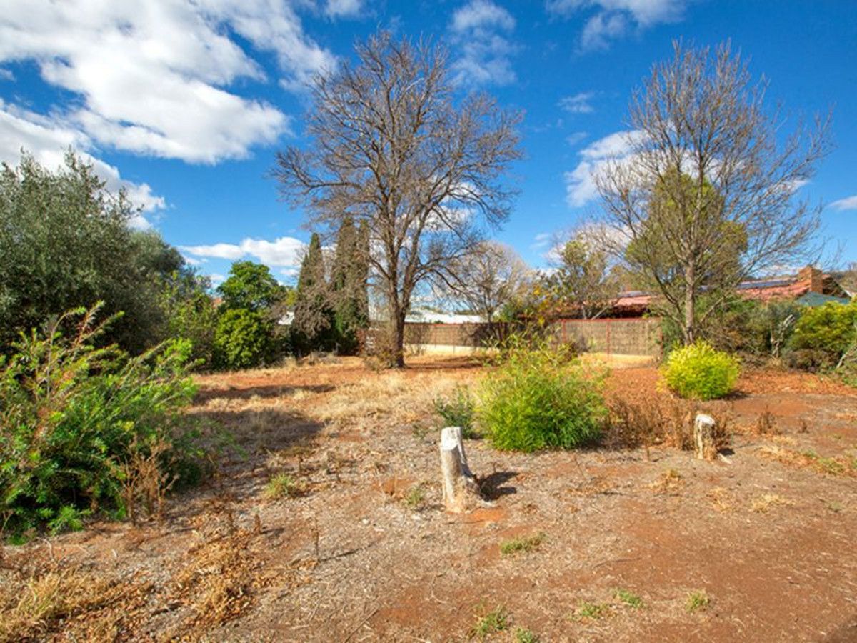 4 Sanders Pl, Gunnedah NSW 2380, Image 0