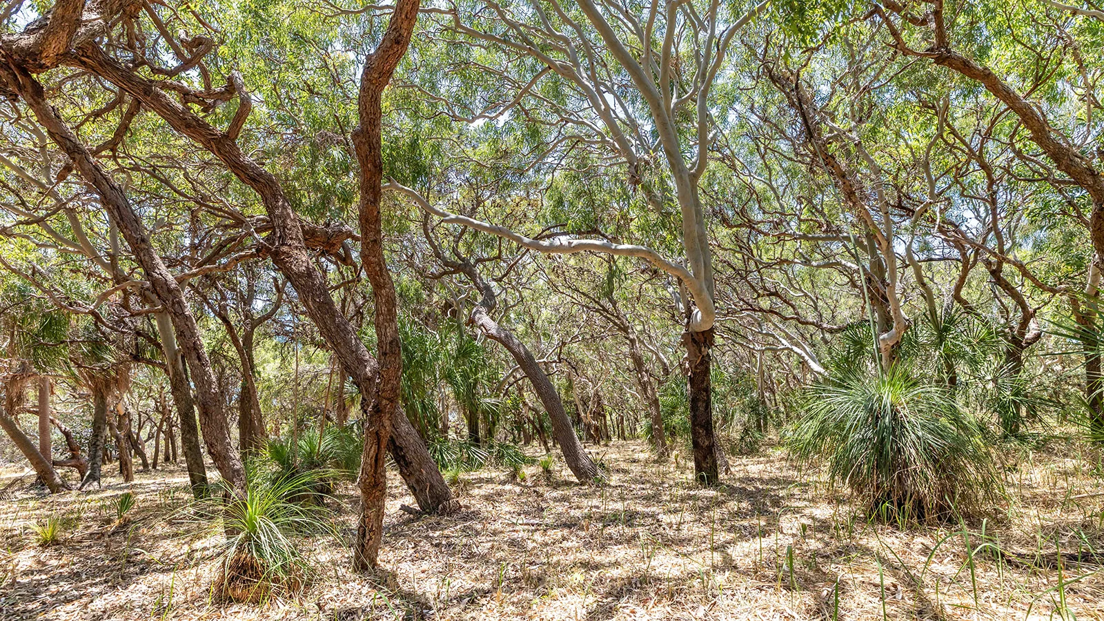 Additional image 13 of 73 Loggerhead Lane, Agnes Water QLD 4677