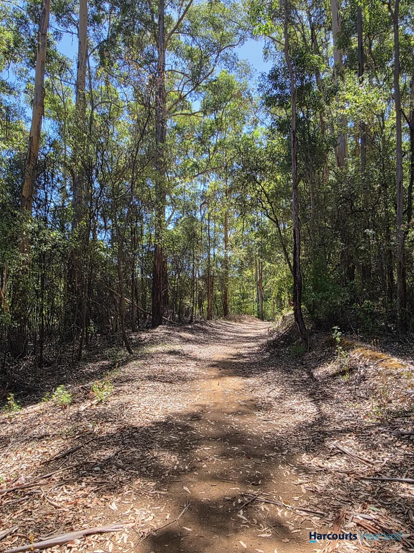 Additional image 8 of Lot 97 Karri Lane, Quinninup WA 6258
